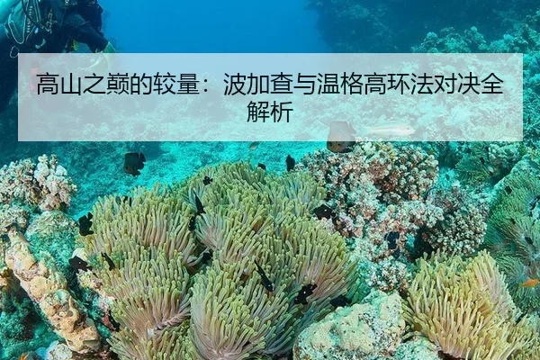 高山之巅的较量：波加查与温格高环法对决全解析